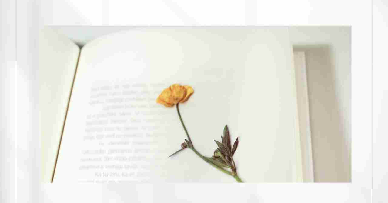 黄色い一輪の花がノートの上に置かれている